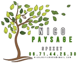 NICO PAYSAGE