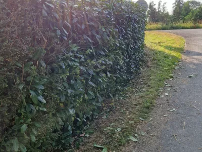 Paysagiste à Spézet