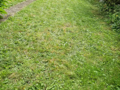 Paysagiste à Spézet